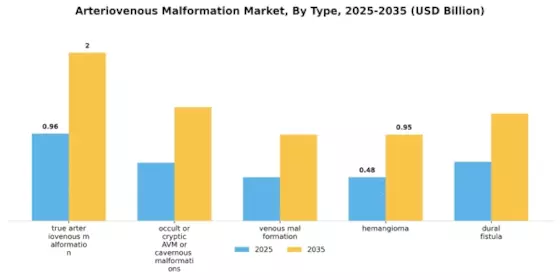 Arteriovenous Malformation Market Segment Image 3