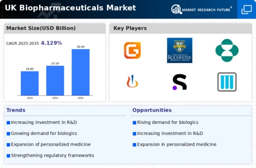 UK Biopharmaceuticals Market Infographic