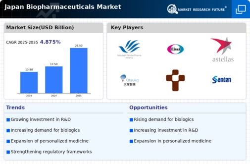 Japan Biopharmaceuticals Market Infographic