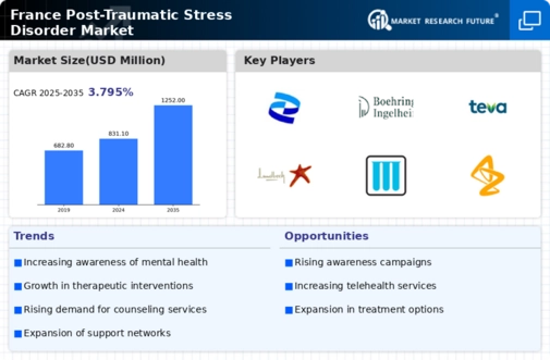 France Post Traumatic Stress Disorder Market Infographic