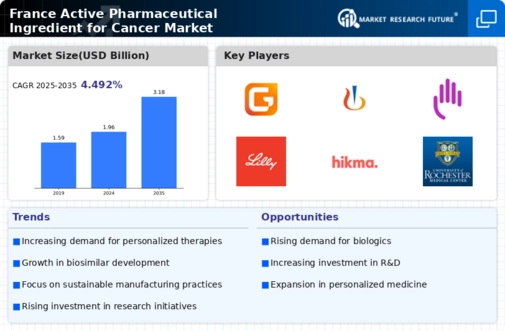 France Active Pharmaceutical Ingredient Cancer Market Infographic