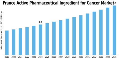 France Active Pharmaceutical Ingredient Cancer Market Size