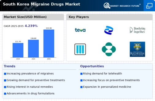 South Korea Migraine Drugs Market Infographic