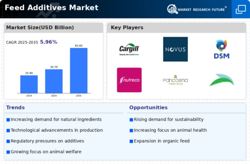 Feed Additives Market Infographic