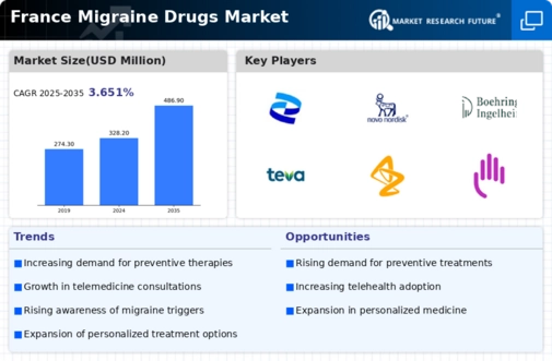 France Migraine Drugs Market Infographic