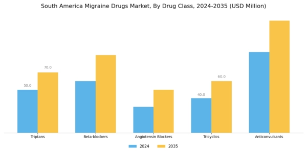 South America Migraine Drugs Market Segment Image 3
