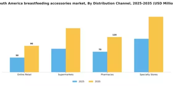 South America Breast Feeding Accessories Market Segment Image 0