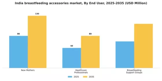 India Breast Feeding Accessories Market Segment Image 1