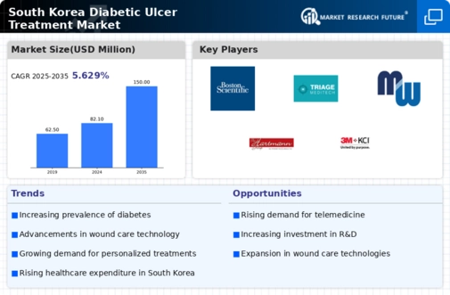 South Korea Diabetic Ulcer Treatment Market Infographic