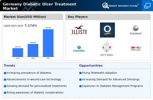 Germany Diabetic Ulcer Treatment Market Infographic