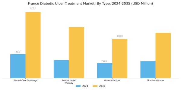 France Diabetic Ulcer Treatment Market Segment Image 0