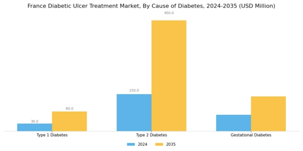 France Diabetic Ulcer Treatment Market Segment Image 2