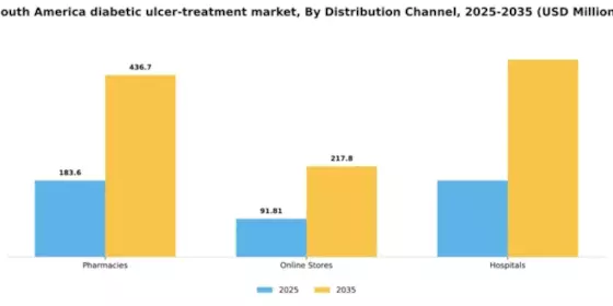 South America Diabetic Ulcer Treatment Market Segment Image 1