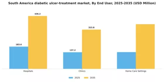 South America Diabetic Ulcer Treatment Market Segment Image 2
