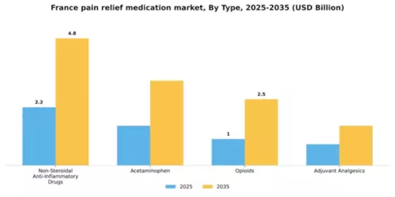France Pain Relief Medication Market Segment Image 3