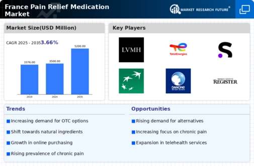 France Pain Relief Medication Market Infographic