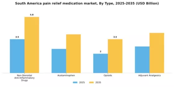 South America Pain Relief Medication Market Segment Image 3