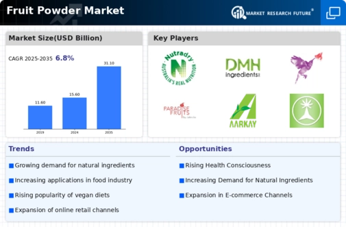 Fruit Powders Market Infographic