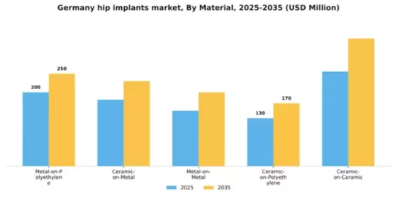 Germany Hip Implants Market Segment Image 1