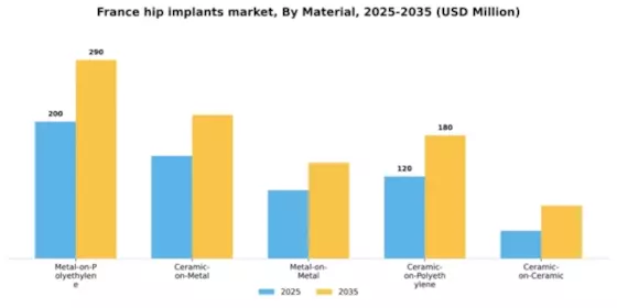 France Hip Implants Market Segment Image 1