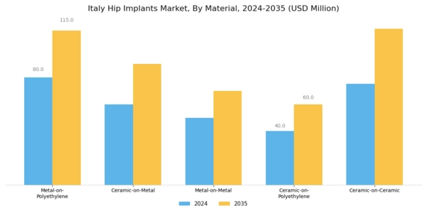 Italy Hip Implants Market Segment Image 2