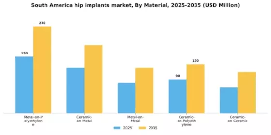South America Hip Implants Market Segment Image 1