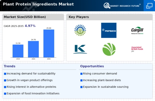 Plant Protein Ingredients Market Infographic