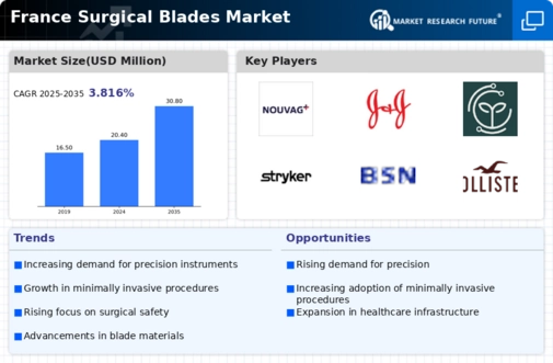 France Surgical Blades Market Infographic