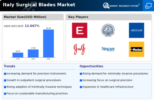 Italy Surgical Blades Market Infographic