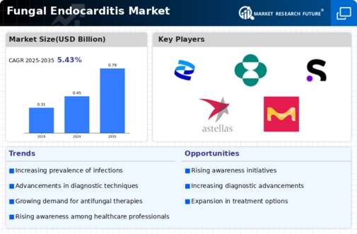 Fungal Endocarditis Market Infographic