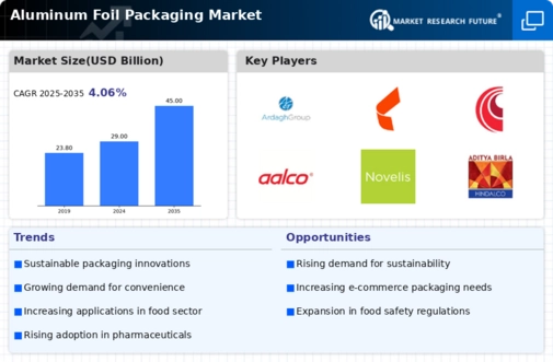 Aluminum Foil Packaging Market Infographic
