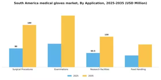 South America Medical Gloves Market Segment Image 0