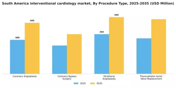 South America Interventional Cardiology Market Segment Image 2