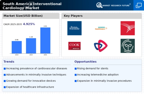 South America Interventional Cardiology Market Infographic