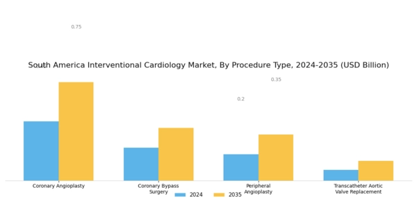 South America Interventional Cardiology Market Segment Image 1