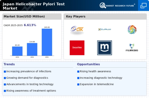 Japan Helicobacter Pylori Test Market Infographic
