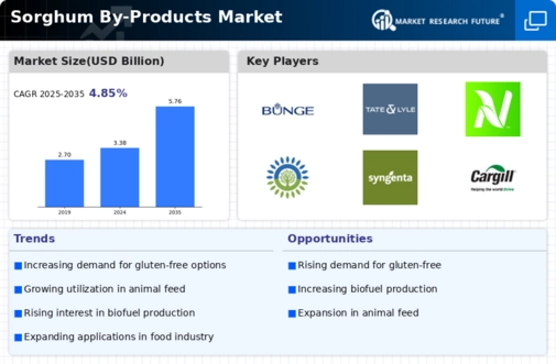 Sorghum Products Market Infographic