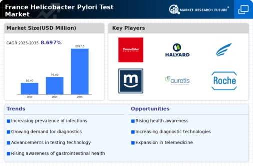 France Helicobacter Pylori Test Market Infographic