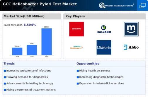 GCC Helicobacter Pylori Test Market Infographic