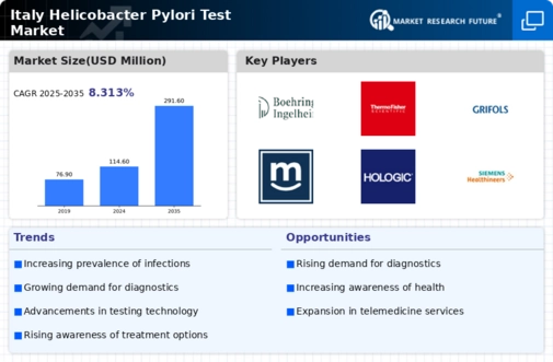 Italy Helicobacter Pylori Test Market Infographic