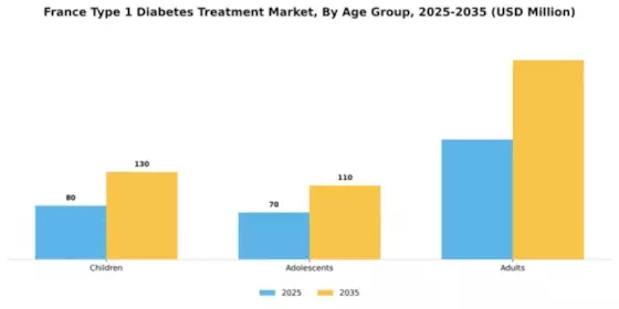 France Type 1 Diabetes Treatment Market Segment Image 0