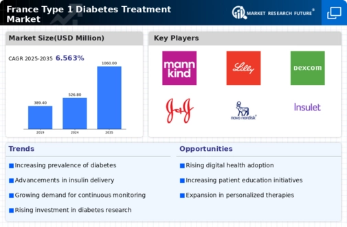 France Type 1 Diabetes Treatment Market Infographic