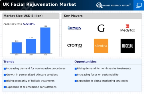 UK Facial Rejuvenation Market Infographic