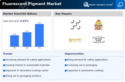 Fluorescent Pigment Market Infographic