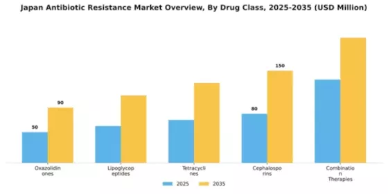Japan Antibiotic Resistance Market Segment Image 1