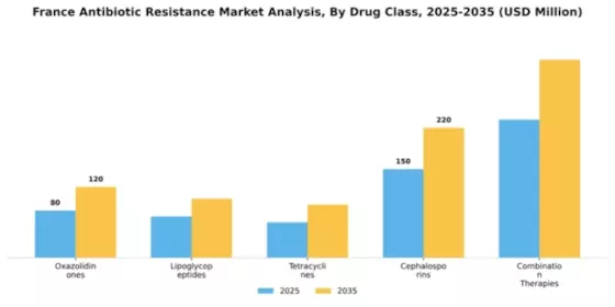 France Antibiotic Resistance Market Segment Image 1