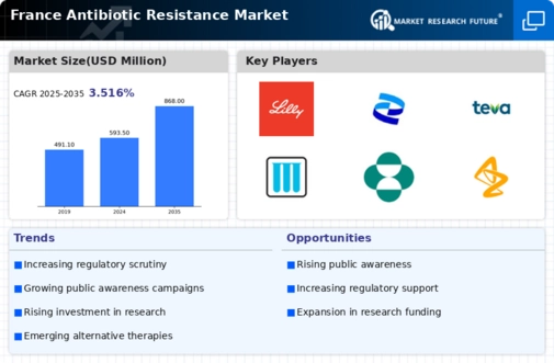 France Antibiotic Resistance Market Infographic