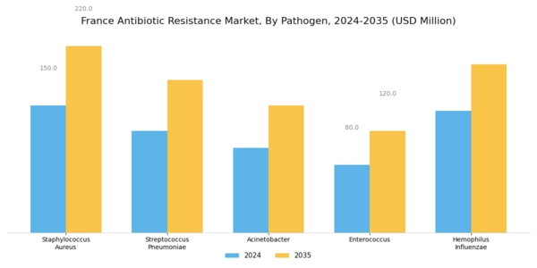 France Antibiotic Resistance Market Segment Image 2
