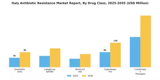 Italy Antibiotic Resistance Market Segment Image 1