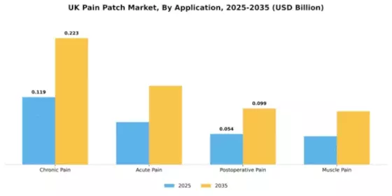 UK Pain Patch Market Segment Image 0